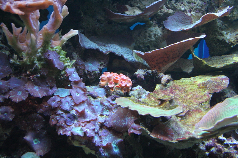 Killikus® Fotographie Killikus® Fotographie